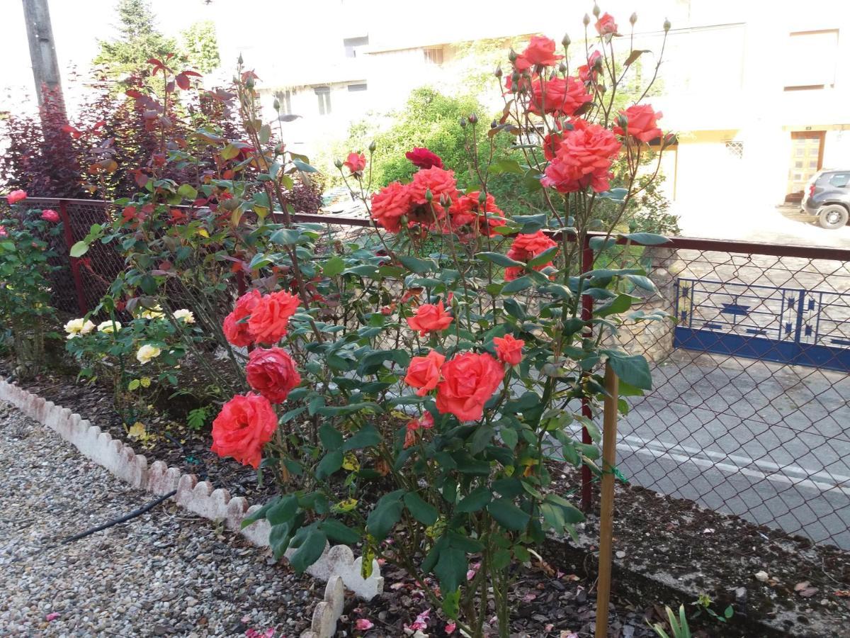 Bed And Breakfast Les Roses Multicolores Du 47 Fumel Exterior photo